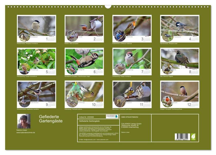 Produktbild: Gefiederte Garteng&auml;ste (Wandkalender 2026 DIN A2 quer), CALVENDO Monatskalender