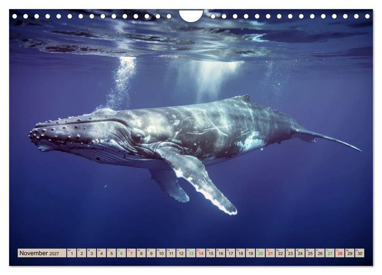 Produktbild: Gro&szlig;tiere - Weltweit (Wandkalender 2027 DIN A4 quer), CALVENDO Monatskalender