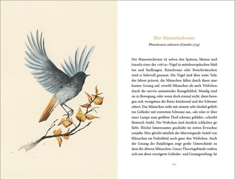 Produktbild: Vom Gl&uuml;ck des Vogelgesangs
