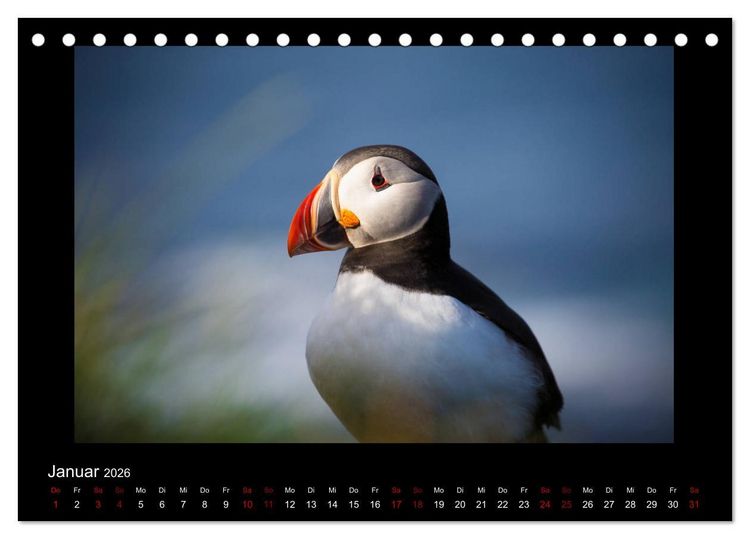 Produktbild: Island - Eine Reise in Bildern (Tischkalender 2026 DIN A5 quer), CALVENDO Monatskalender