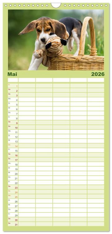 Produktbild: Familienplaner 2026 - Beaglebabys auf Entdeckungstour mit 5 Spalten (Wandkalender, 21 x 45 cm) CALVENDO