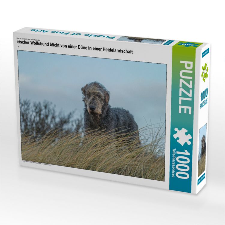 Produktbild: CALVENDO Puzzle Irischer Wolfshund blickt von einer D&uuml;ne in einer Heidelandschaft | 1000 Teile Lege-Gr&ouml;&szlig;e 64x48cm Foto-Puzzle f&uuml;r gl&uuml;ckliche Stunden