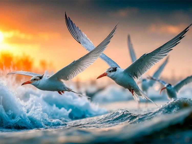 Produktbild: CALVENDO Puzzle Ob sich hier die Fische fangen lassen | 1000 Teile Lege-Gr&ouml;&szlig;e 64x48cm Foto-Puzzle f&uuml;r gl&uuml;ckliche Stunden