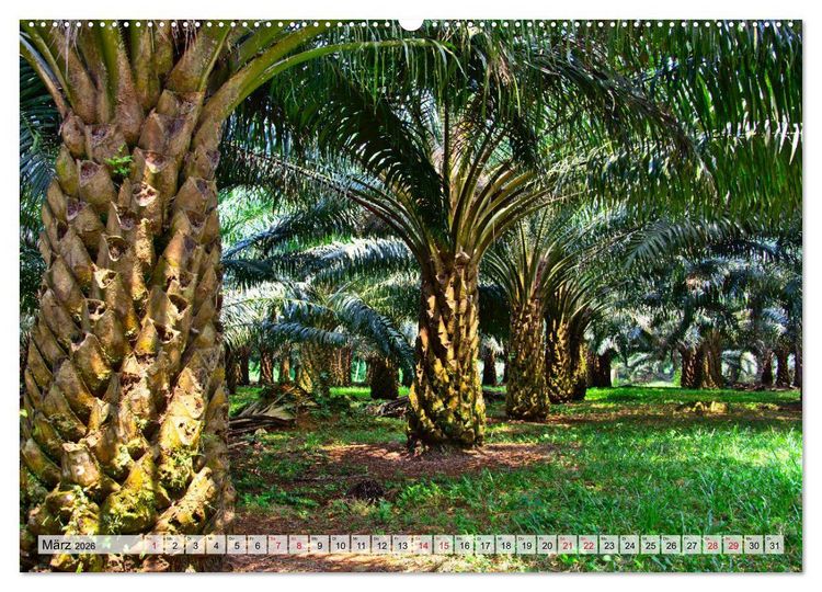Produktbild: S&atilde;o Tom&eacute; - Inselparadies am &Auml;quator (Wandkalender 2026 DIN A2 quer), CALVENDO Monatskalender