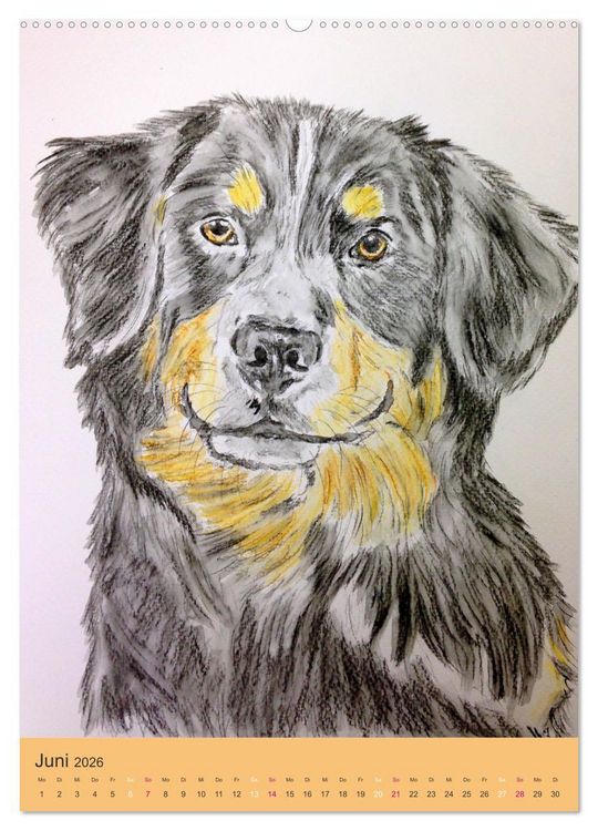 Produktbild: Hunde - Bezaubernde Portraitzeichnungen (Wandkalender 2026 DIN A2 hoch), CALVENDO Monatskalender