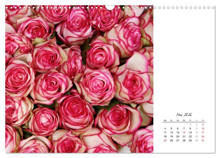 Produktbild: Die vielen Gesichter der Rosen (Wandkalender 2026 DIN A3 quer), CALVENDO Monatskalender
