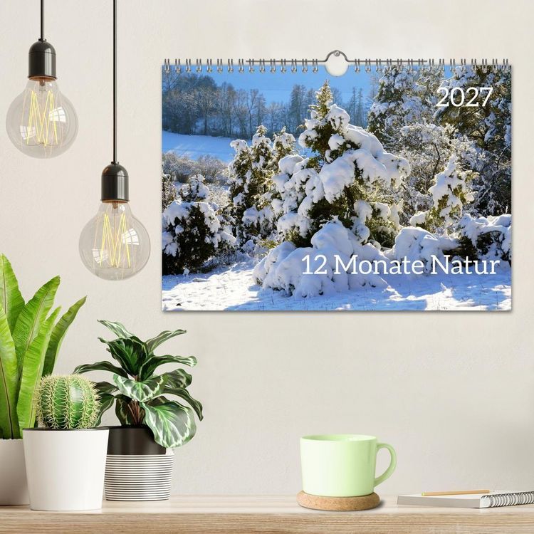 Produktbild: 12 Monate Natur (Wandkalender 2027 DIN A4 quer), CALVENDO Monatskalender