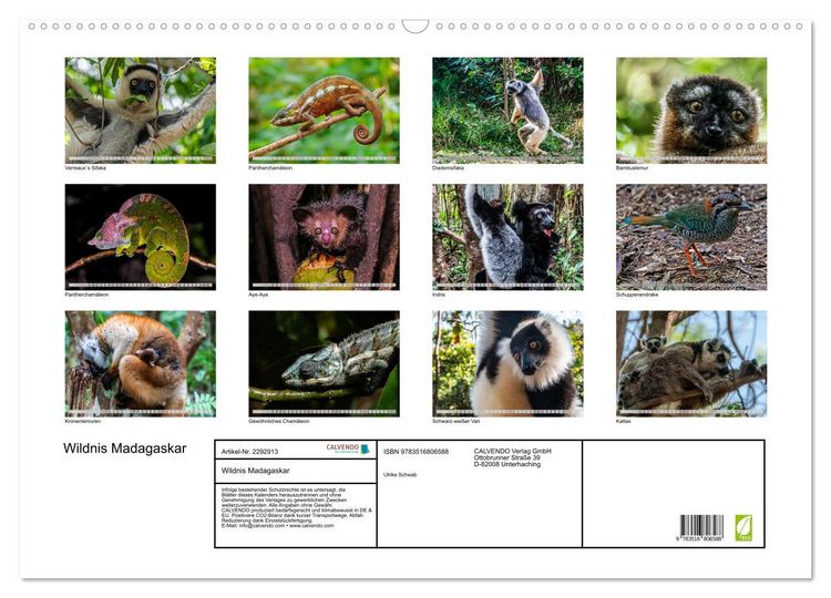 Produktbild: Wildnis Madagaskar (Wandkalender 2027 DIN A2 quer), CALVENDO Monatskalender