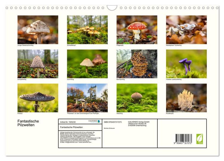 Produktbild: Fantastische Pilzwelten (Wandkalender 2026 DIN A3 quer), CALVENDO Monatskalender
