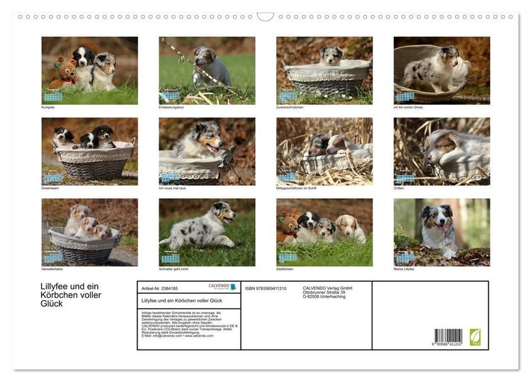 Produktbild: Lillyfee und ein K&ouml;rbchen voller Gl&uuml;ck (Wandkalender 2027 DIN A2 quer), CALVENDO Monatskalender