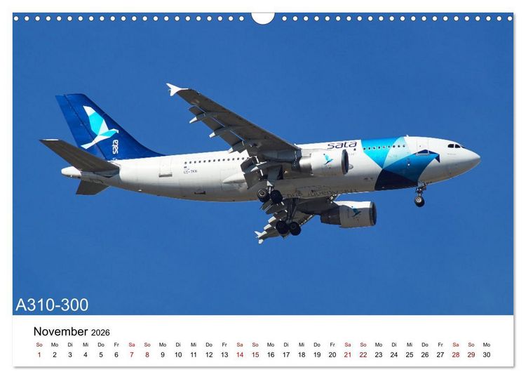 Produktbild: Flugzeuge von Airbus (Wandkalender 2026 DIN A3 quer), CALVENDO Monatskalender