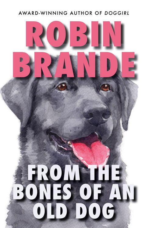Produktbild: From the Bones of an Old Dog