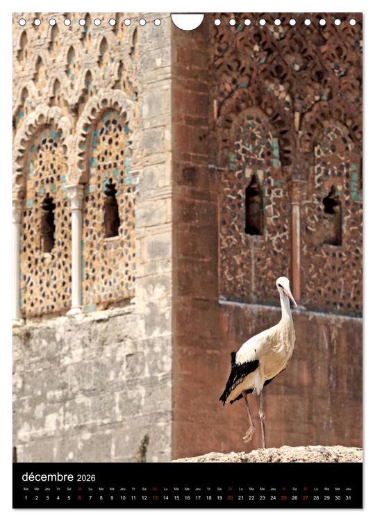 Produktbild: Collection MAROC RABAT (Calendrier mural 2026 DIN A4 horizontal), CALVENDO calendrier mensuel