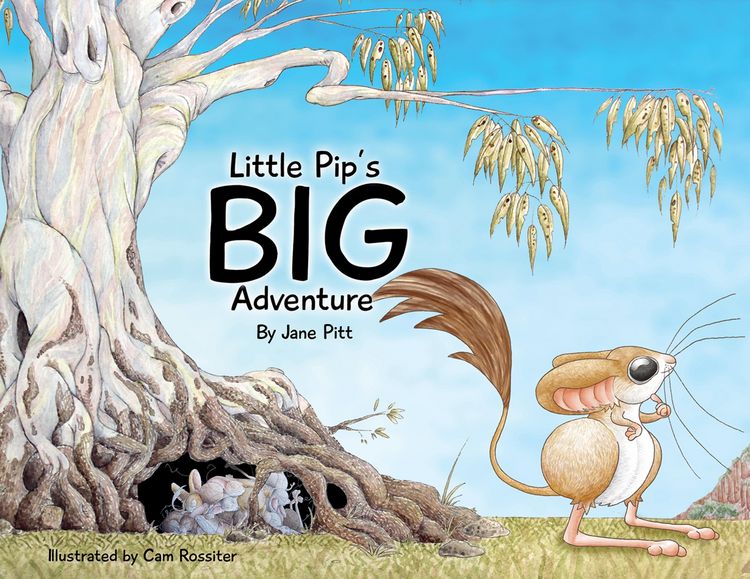 Produktbild: Little Pip's Big Adventure