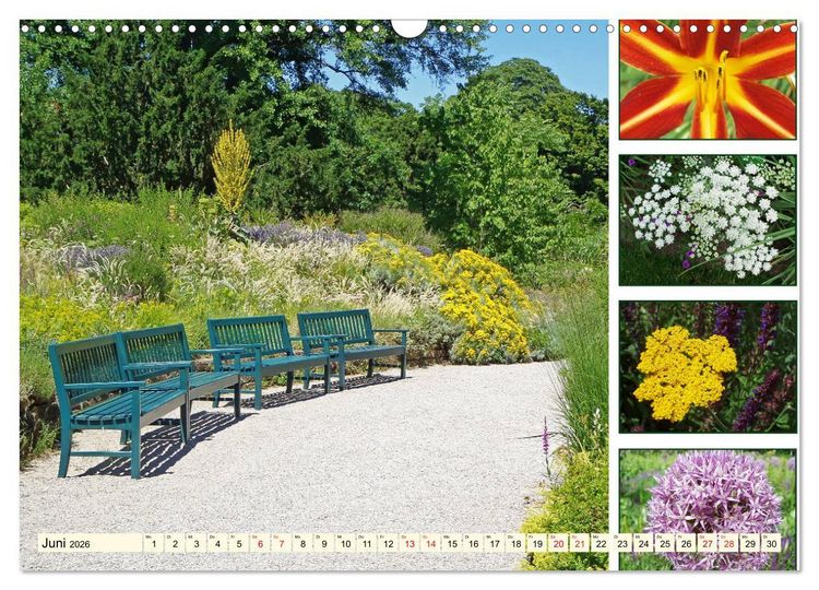 Produktbild: Im Hermannshof - Ein Traumgarten in Weinheim (Wandkalender 2026 DIN A3 quer), CALVENDO Monatskalender