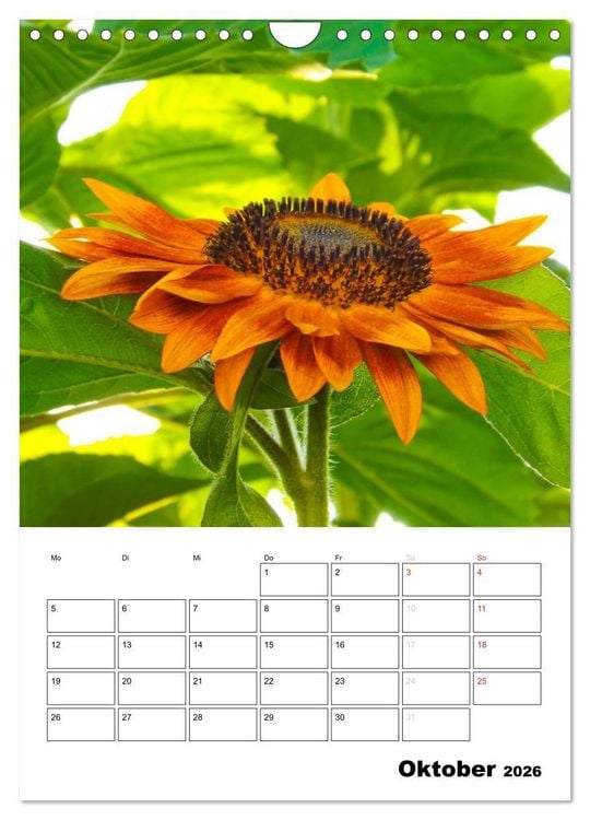 Produktbild: Strahlende Sonnenblumen (Wandkalender 2026 DIN A4 hoch), CALVENDO Monatskalender