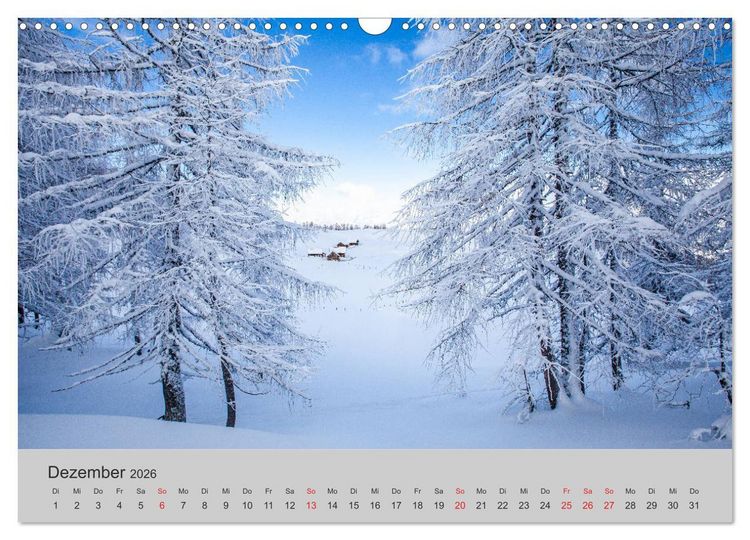 Produktbild: Komm, ich zeige dir den Wald (Wandkalender 2026 DIN A3 quer), CALVENDO Monatskalender