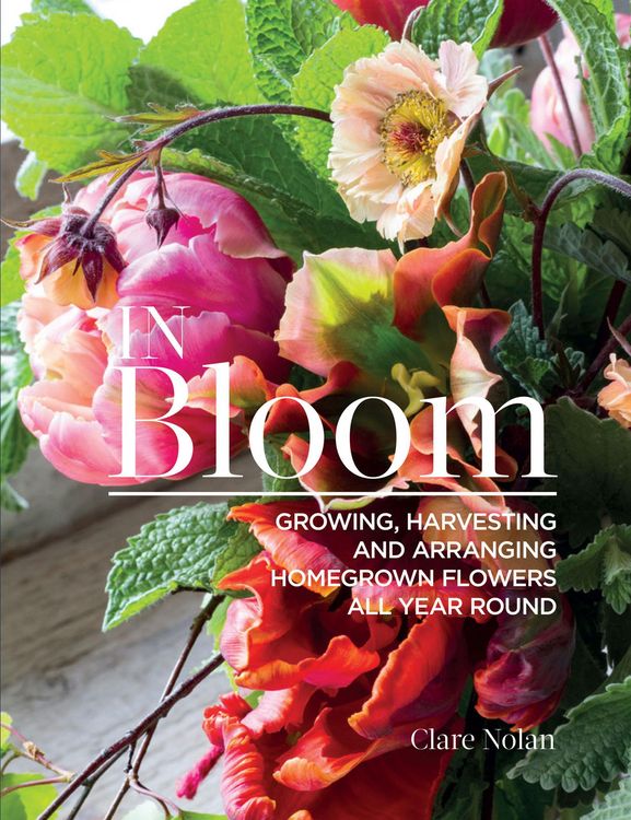 Produktbild: In Bloom