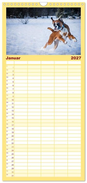 Produktbild: Familienplaner 2027 - Deutscher Boxer 2027 mit 5 Spalten (Wandkalender, 21 x 45 cm) CALVENDO