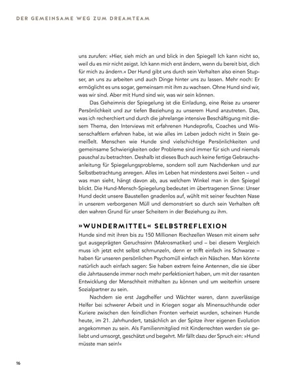 Produktbild: Das Geheimnis der Spiegelung