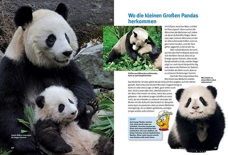 Produktbild: Entdecke die Pandas