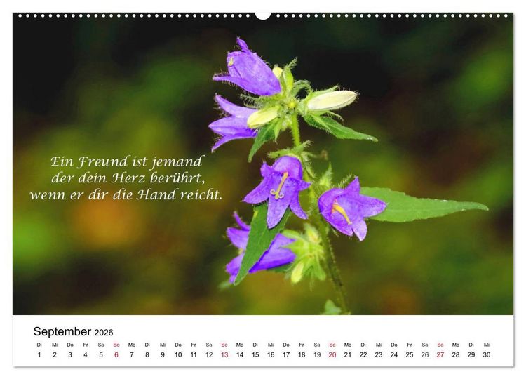 Produktbild: Lebensweisheiten 2026 (Wandkalender 2026 DIN A2 quer), CALVENDO Monatskalender