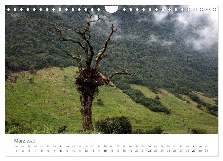 Produktbild: Ecuador - Regenwald und Vulkane (Wandkalender 2026 DIN A4 quer), CALVENDO Monatskalender