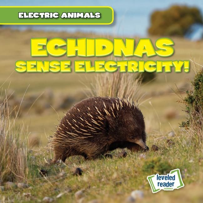 Produktbild: Mallory, L: Echidnas Sense Electricity!