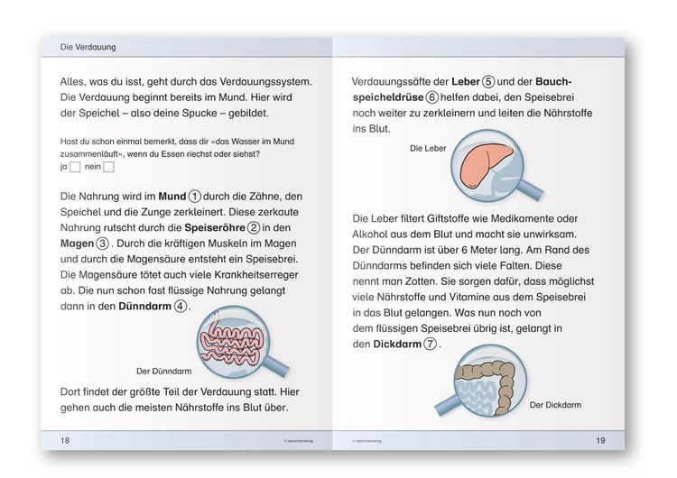 Produktbild: Ich kenne meinen K&ouml;rper - 3 Arbeitshefte im Set