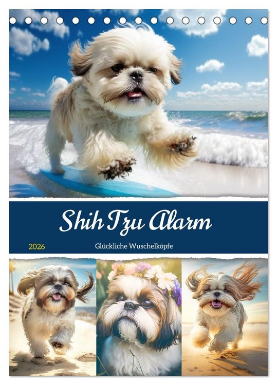 Produktbild: Shih Tzu Alarm. Gl&uuml;ckliche Wuschelk&ouml;pfe (Tischkalender 2026 DIN A5 hoch), CALVENDO Monatskalender
