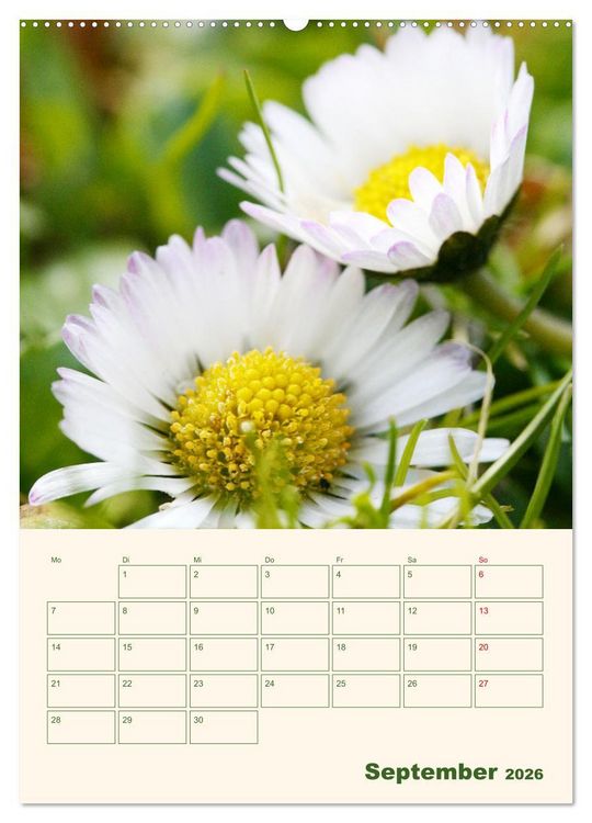 Produktbild: Vertr&auml;umte G&auml;nsebl&uuml;mchen (Wandkalender 2026 DIN A2 hoch), CALVENDO Monatskalender