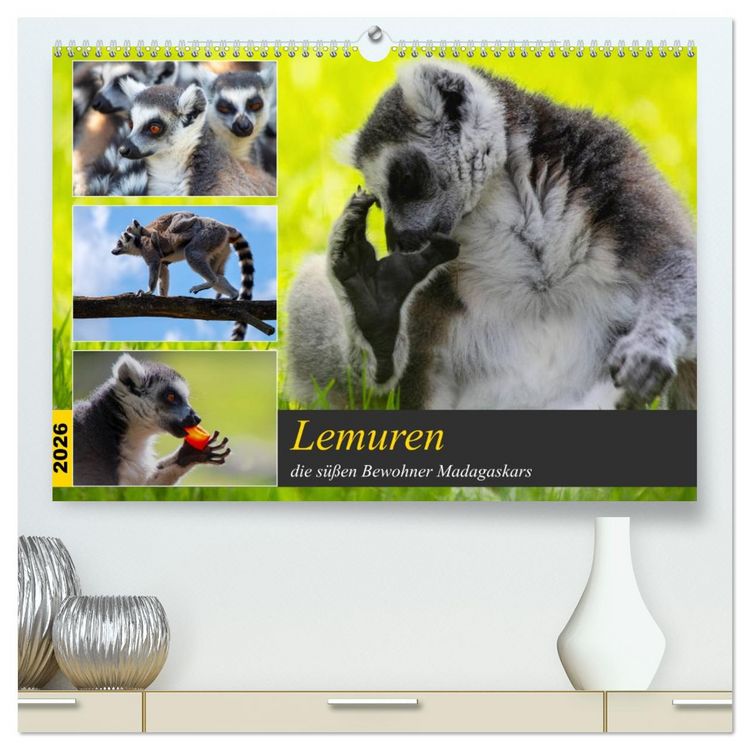 Produktbild: Lemuren die s&uuml;&szlig;en Bewohner Madagaskars (hochwertiger Premium Wandkalender 2026 DIN A2 quer), Kunstdruck in Hochglanz