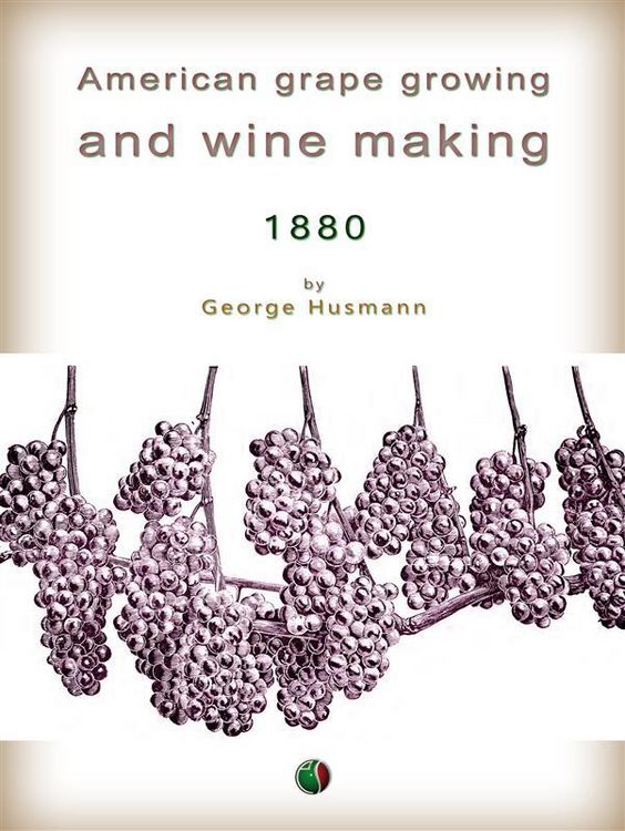 Produktbild: American grape growing and wine making