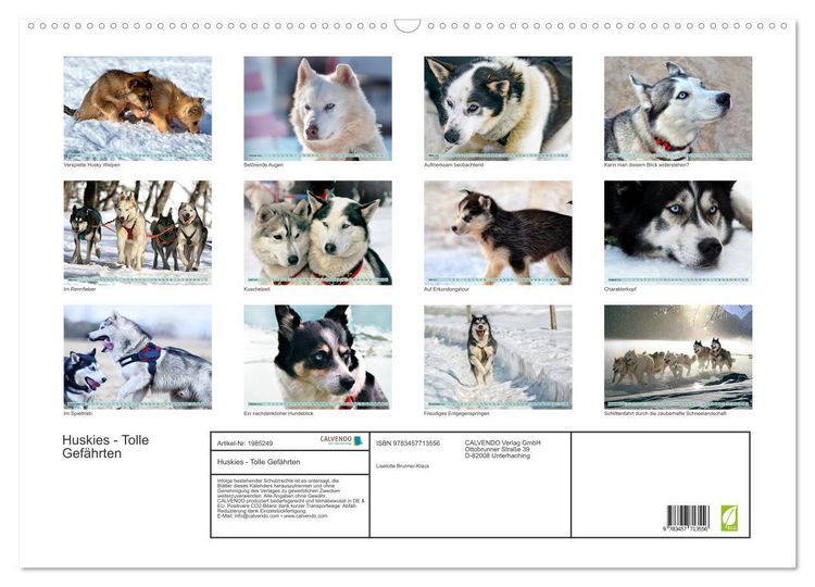 Produktbild: Huskies - Tolle Gef&auml;hrten (Wandkalender 2026 DIN A2 quer), CALVENDO Monatskalender