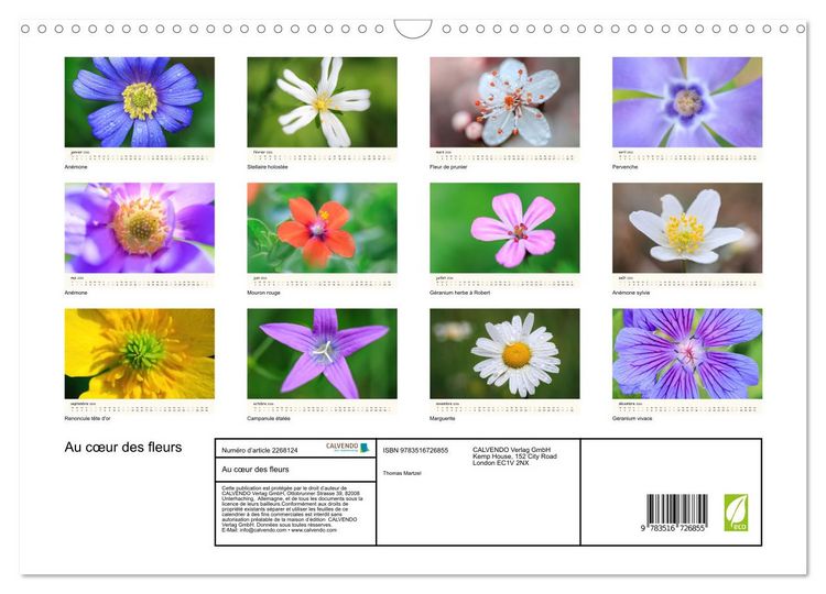 Produktbild: Au c&oelig;ur des fleurs (Calendrier mural 2026 DIN A3 vertical), CALVENDO calendrier mensuel