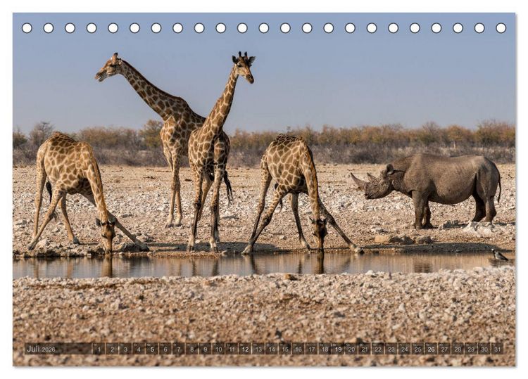 Produktbild: ETOSHA &ndash; Namibia Highlights (Tischkalender 2026 DIN A5 quer), CALVENDO Monatskalender