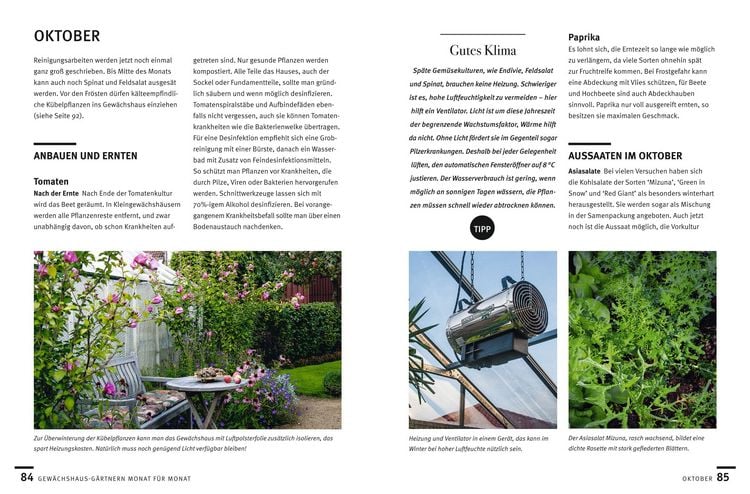 Produktbild: G&auml;rtnern im Gew&auml;chshaus Monat f&uuml;r Monat