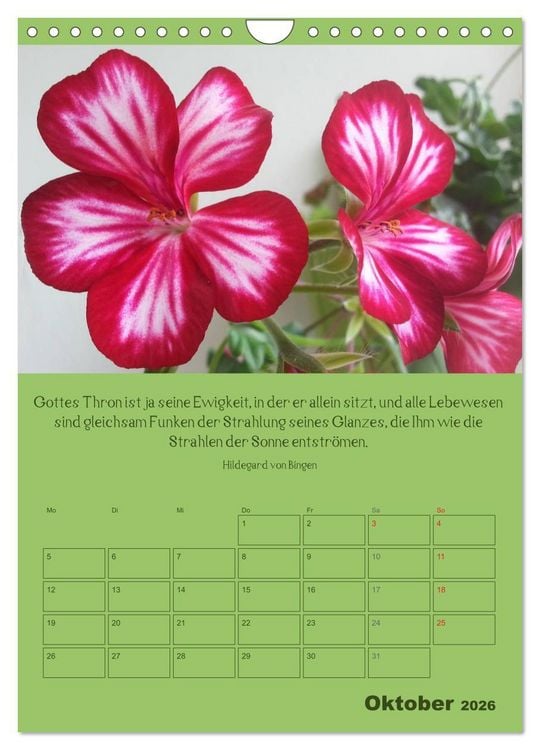 Produktbild: Erkenntnis und Weisheit - Hildegard von Bingen (Wandkalender 2026 DIN A4 hoch), CALVENDO Monatskalender