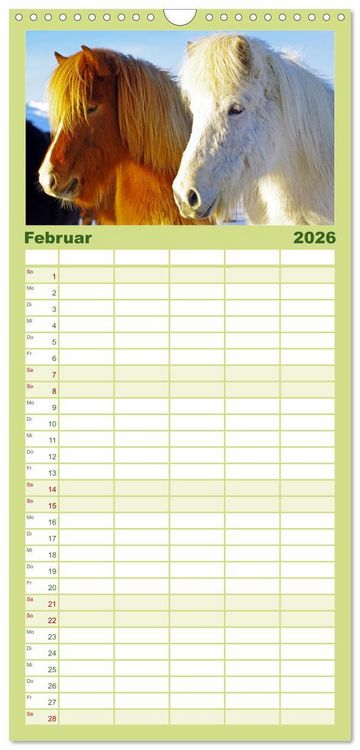 Produktbild: Familienplaner 2026 - Die Pferde Islands mit 5 Spalten (Wandkalender, 21 x 45 cm) CALVENDO