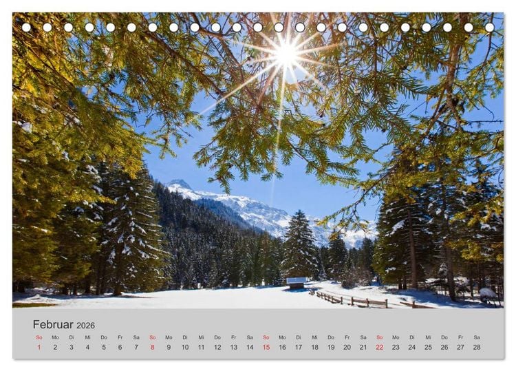 Produktbild: Komm, ich zeige dir den Wald (Tischkalender 2026 DIN A5 quer), CALVENDO Monatskalender