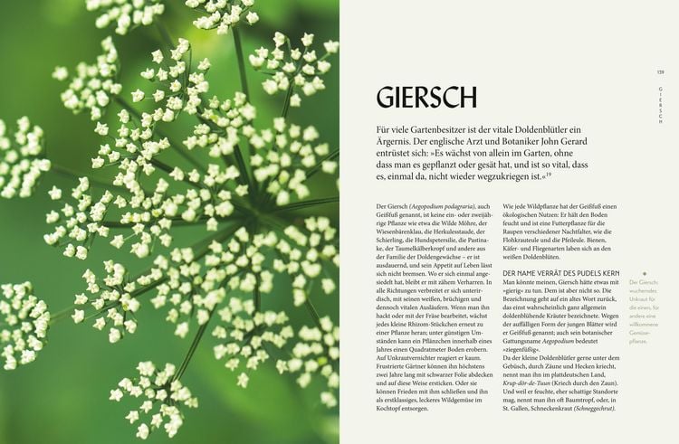 Produktbild: Die "Unkr&auml;uter" in meinem Garten