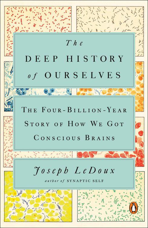 Produktbild: The Deep History of Ourselves