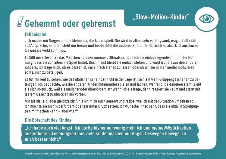 Produktbild: Herausforderndes Verhalten verstehen und im Kita-Alltag begleiten