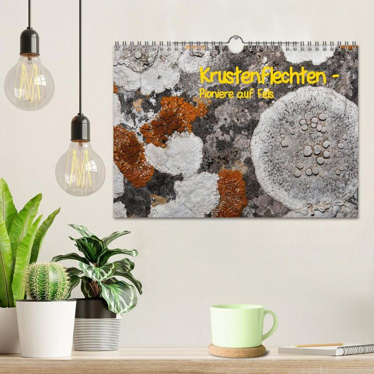Produktbild: Krustenflechten - Pioniere auf Fels (Wandkalender 2026 DIN A4 quer), CALVENDO Monatskalender