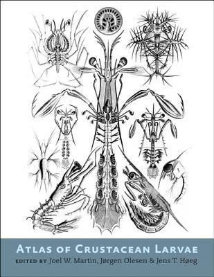 Produktbild: Atlas of Crustacean Larvae