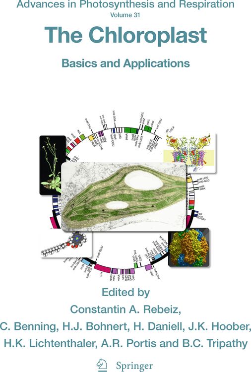 Produktbild: The Chloroplast