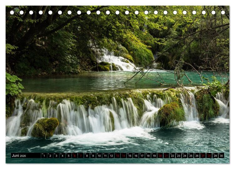 Produktbild: Waldwasser (Tischkalender 2026 DIN A5 quer), CALVENDO Monatskalender