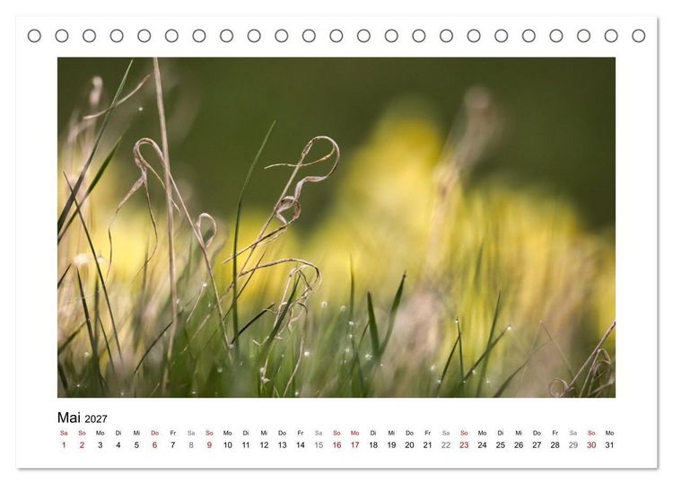 Produktbild: Naturkunstwerke (Tischkalender 2027 DIN A5 quer), CALVENDO Monatskalender