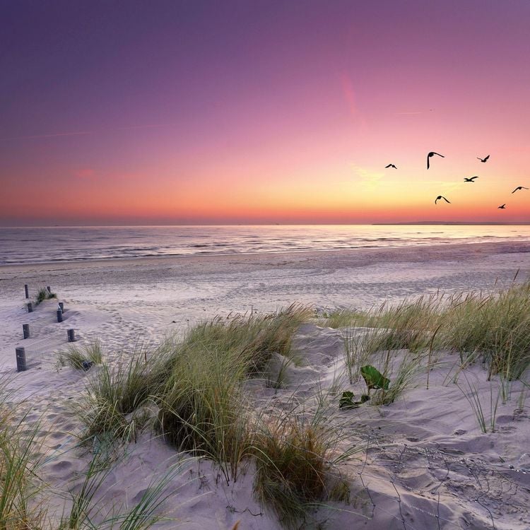 Produktbild: Strand und Meer / Beach and Sea 2027