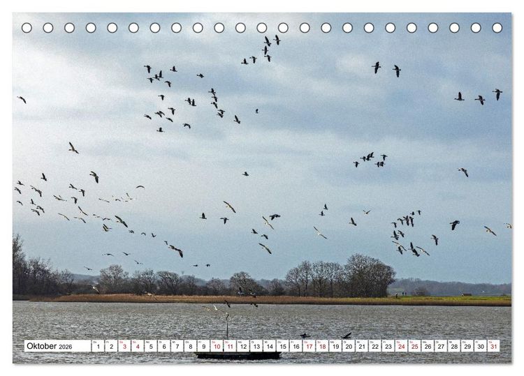 Produktbild: Angeln - Landschaft zwischen Schlei und Flensburger F&ouml;rde (Tischkalender 2026 DIN A5 quer), CALVENDO Monatskalender